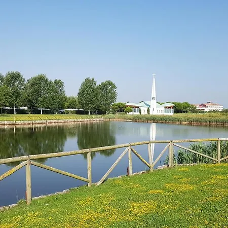 公寓 Quercia Lido Altanea