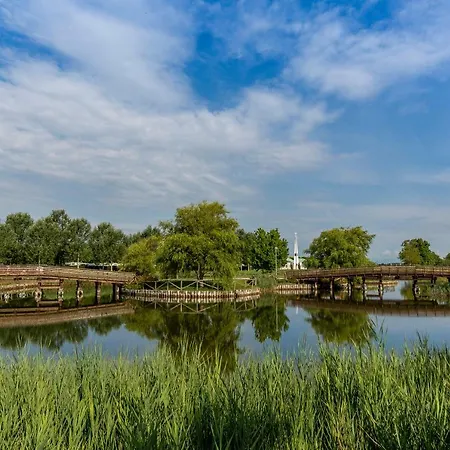 Quercia Lido Altanea 公寓 *